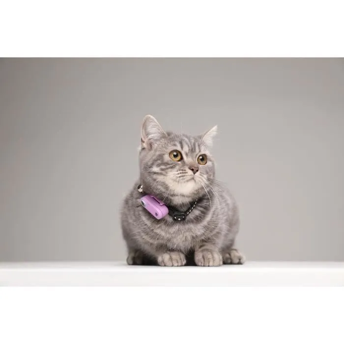 Tickless TIC5999566451638 Repelente Ultrasónico para Gatos Mini Protección contra Pulgas y Garrapatas Organ Purple 4