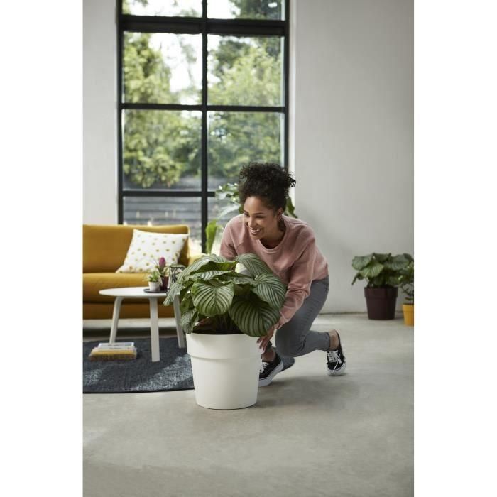 Elho B.for Original Maceta Redonda con Ruedas 35 Blanco para Interior Ø 35 x H 32 cm 5 Elho B.for Original Maceta Redonda con Ruedas 35 Blanco para Interior Ø 35 x H 32 cm 5