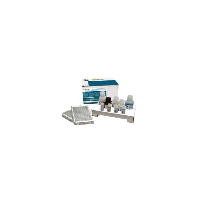Ecuphar Leiscan 96x2 Test ELISA para detección de anticuerpos anti-Leishmania en perros Ecuphar Leiscan 96x2 Test ELISA para detección de anticuerpos anti-Leishmania en perros