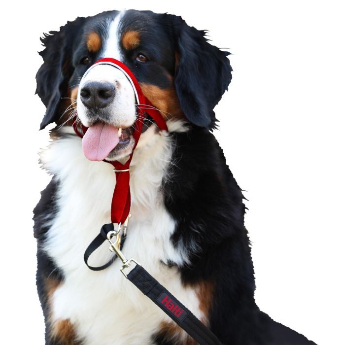 Bozal Halti Headcollar Rojo Talla 2 Bozal Halti Headcollar Rojo Talla 2