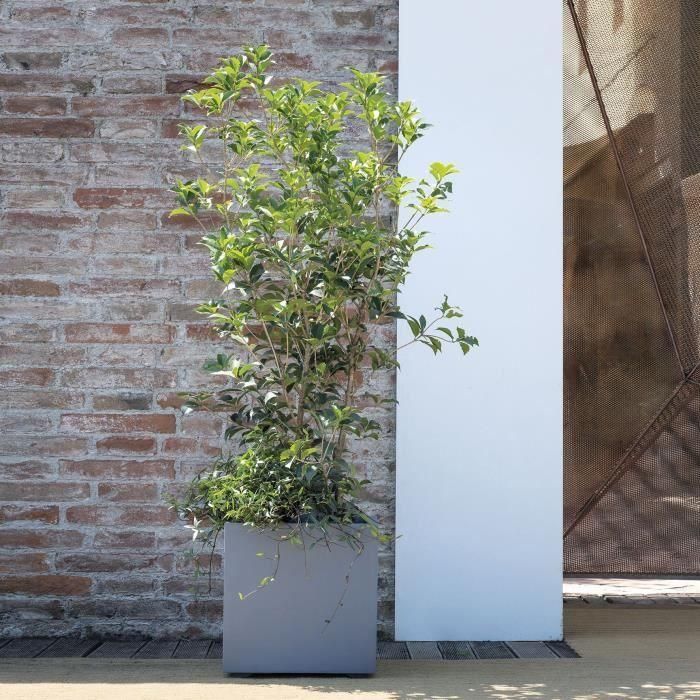 Deroma 9H81ZSZ217 Maceta Cubo Millennium R Autorriego Gris Ceniza 39 cm 2 Deroma 9H81ZSZ217 Maceta Cubo Millennium R Autorriego Gris Ceniza 39 cm 2