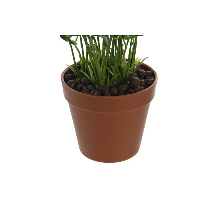 Planta Tropical DKD Home Decor Verde 20 x 45 x 20 cm (6 Unidades) 2 Planta Tropical DKD Home Decor Verde 20 x 45 x 20 cm (6 Unidades) 2