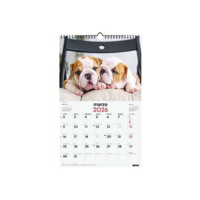 Calendario (2026) Finocam Pared Espiral Imagenes Mensual Para Escribir 250X400 Cachorros