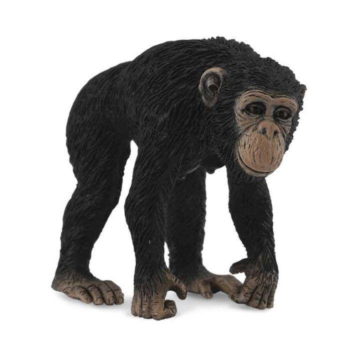 Collecta Chimpancé Hembra Talla M Réplica Detallada 88493 Mundo Natural