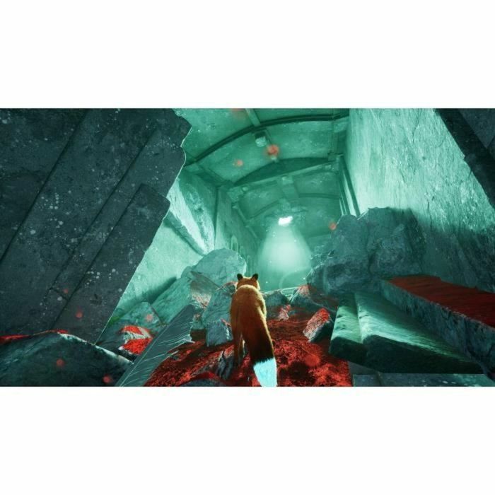 Videojuego de aventuras - Silver Lining - Spirit of the North 2 - PS5 - PEGI 12 - En caja 5 Videojuego de aventuras - Silver Lining - Spirit of the North 2 - PS5 - PEGI 12 - En caja 5