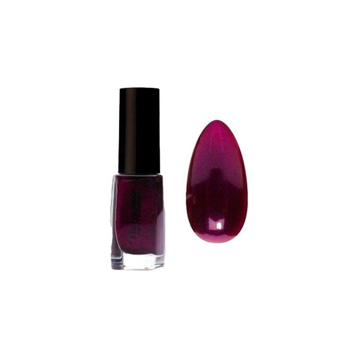 PIERRE RENE Nail Polish 11 Ml 380