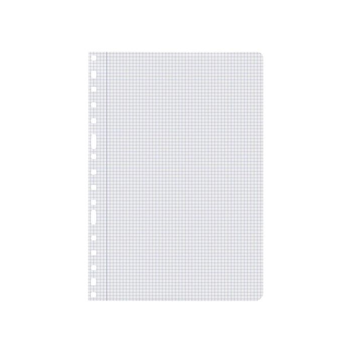 Recambio Liderpapel A4 100 Hojas 60 gr-M2 Cuadro 4 mm Con Margen 16 Taladros 5