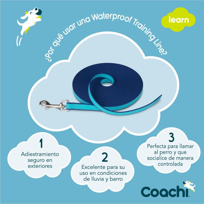 Coachi Correa de Adiestramiento Impermeable Training Line 10m Azul Oscuro/Azul Claro para Perros y Cachorros, Ligera, de Nylon 0 Coachi Correa de Adiestramiento Impermeable Training Line 10m Azul Oscuro/Azul Claro para Perros y Cachorros, Ligera, de Nylon 0
