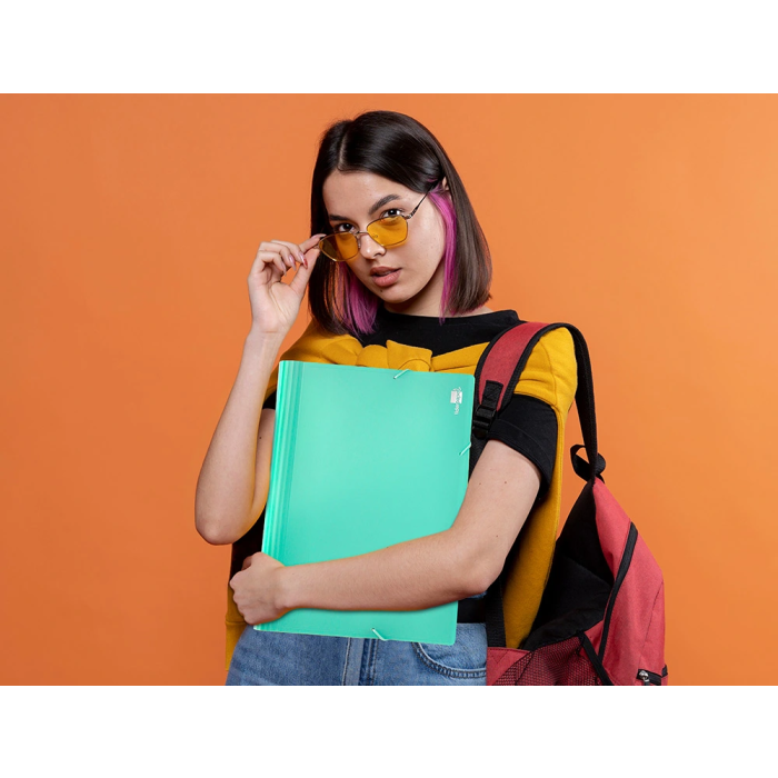 Liderpapel Carpeta Clasificador Fuelle Polipropileno DIN A4 Verde Opaco 13 Departamentos Cierre Gomas 2 Huecos Tarjetas Etiquetas Meses A-Z 6