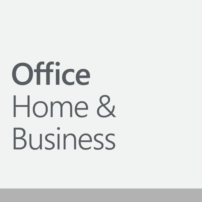 Microsoft Office Home & Business 2024 - Licencia 1 PC/MAC - Formato Físico (Box)