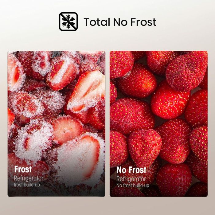 Frigorífico combinado Hisense RB390N4AWE  186 Blanco 304 L 15