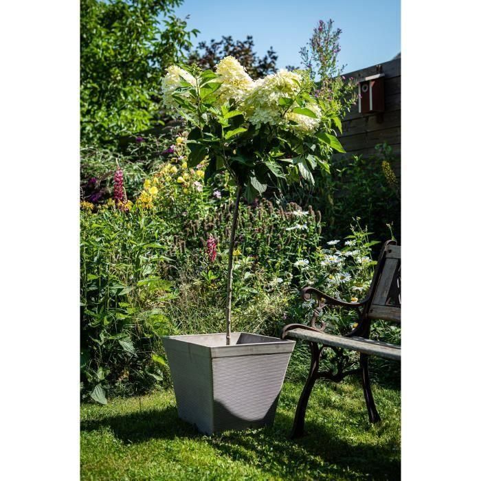 Maceta cuadrada - GARDEN ID - Green Care Impact Taupe - 39 x 33 cm - 10 años de garantía - 100% reciclado - Resistente a los rayos UV/gel 2 Maceta cuadrada - GARDEN ID - Green Care Impact Taupe - 39 x 33 cm - 10 años de garantía - 100% reciclado - Resistente a los rayos UV/gel 2