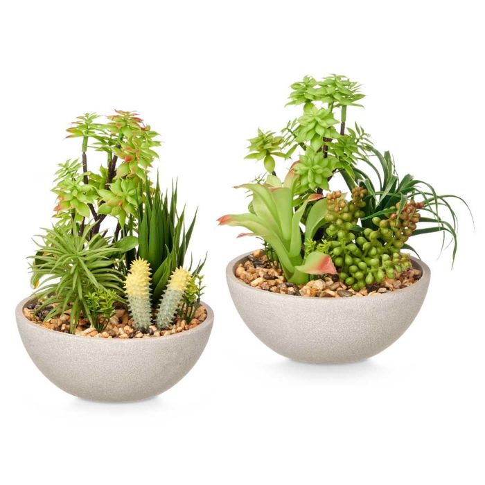 Maceta Redonda Ibergarden 16x24 cm, Piedras Surtidos, Verde/Blanco (12 Unidades) 1 Maceta Redonda Ibergarden 16x24 cm, Piedras Surtidos, Verde/Blanco (12 Unidades) 1