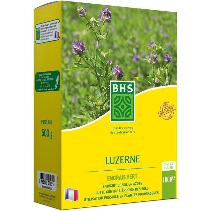 BHS AUC3366670500316 Alfalfa 500g para 100m², Mejora Suelo, Resiste Frío y Sequía, Rica en Proteínas y Vitaminas BHS AUC3366670500316 Alfalfa 500g para 100m², Mejora Suelo, Resiste Frío y Sequía, Rica en Proteínas y Vitaminas