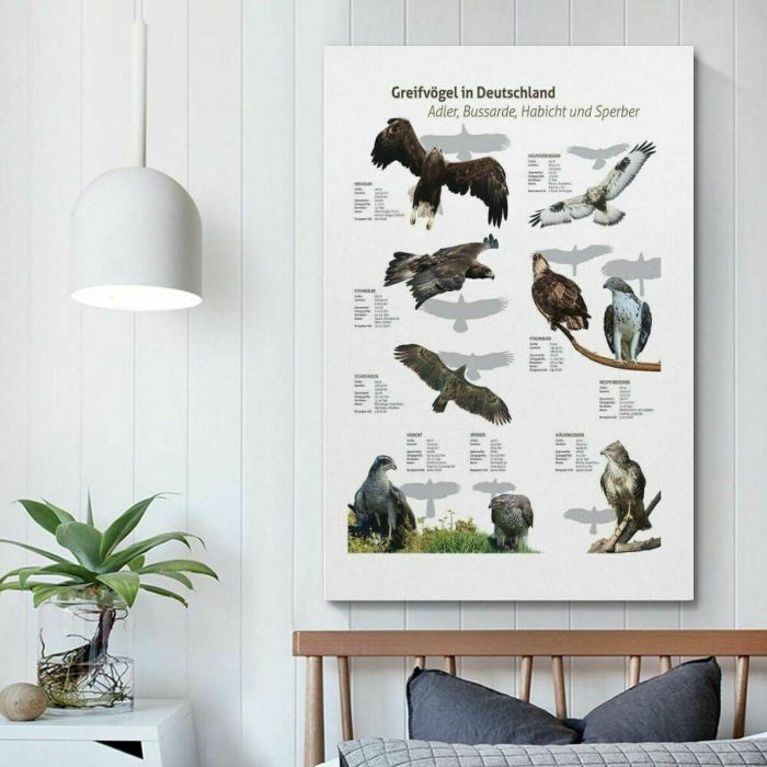 Samsung Galaxy A36 5G Dual Sim 6GB RAM 128GB Almacenamiento Lavanda 7