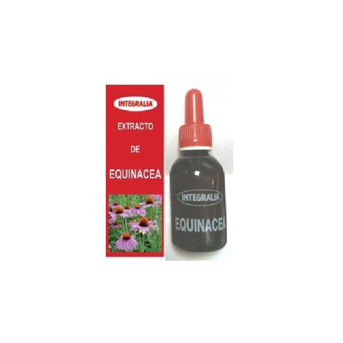 Equinacea Extracto