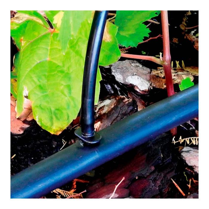 Blue Bird-Altadex Pack 10 Uniones 4mm Polipropileno Negro Anti UV para Riego 1