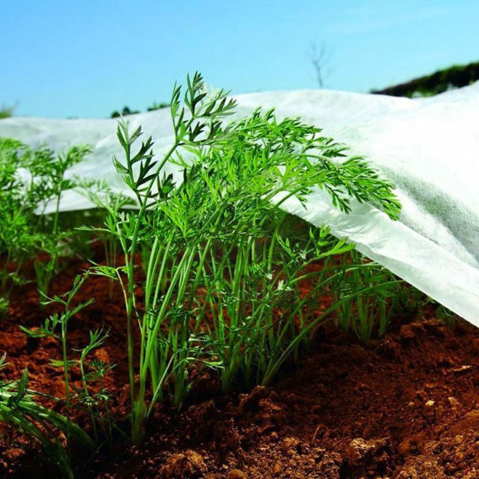 Tela de protección cultivos paño artic 4x5m 17 g/m² 3