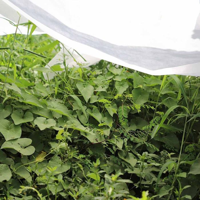 Tela de protección para cultivos 2x10m 17 gr/m² biotop garden 3