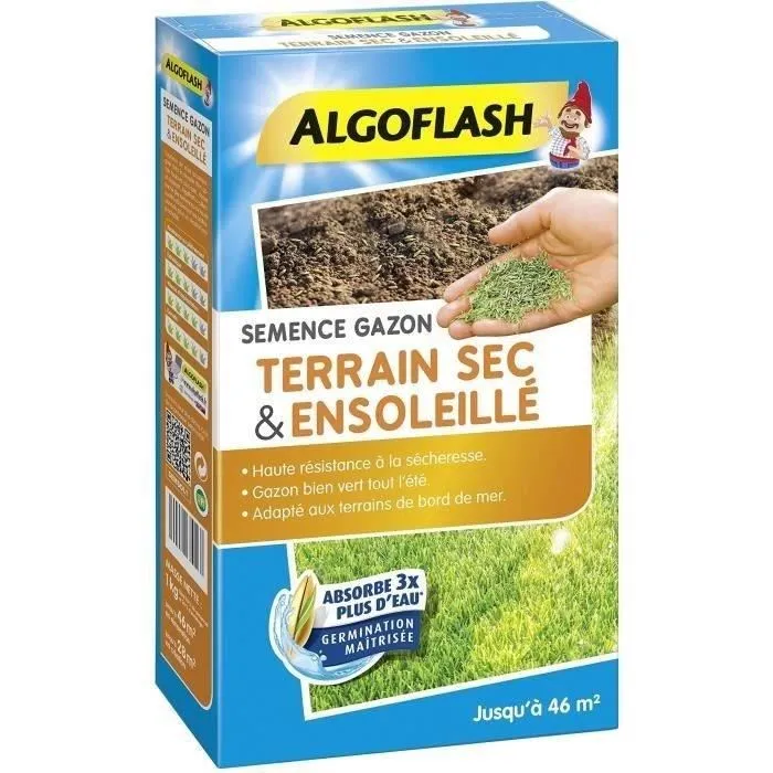 Algoflash Semillas de Hierba para Suelos Secos y Soleados - Calidad Profesional - 1 Kg 1