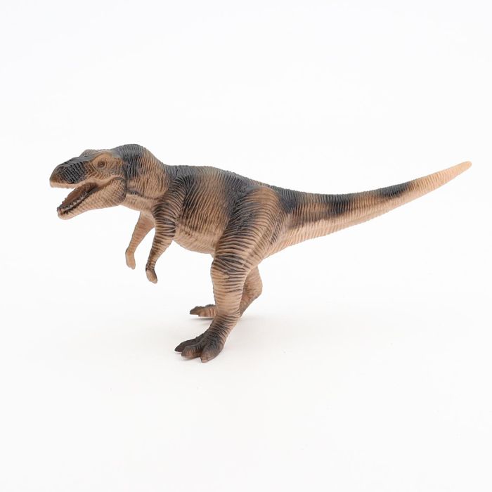 Blister Dinosaurios 6 Piezas 7103 Tachan 4