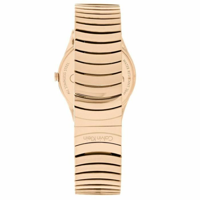 Reloj Mujer Calvin Klein WHIRL (Ø 33 mm) 1
