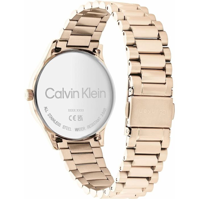 Reloj Mujer Calvin Klein 25200042 1