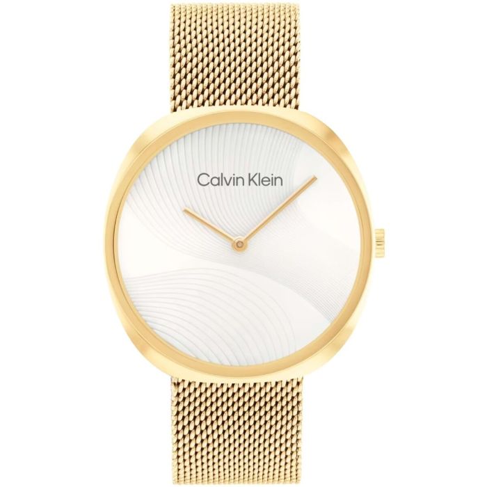 Reloj Hombre Calvin Klein 1685215