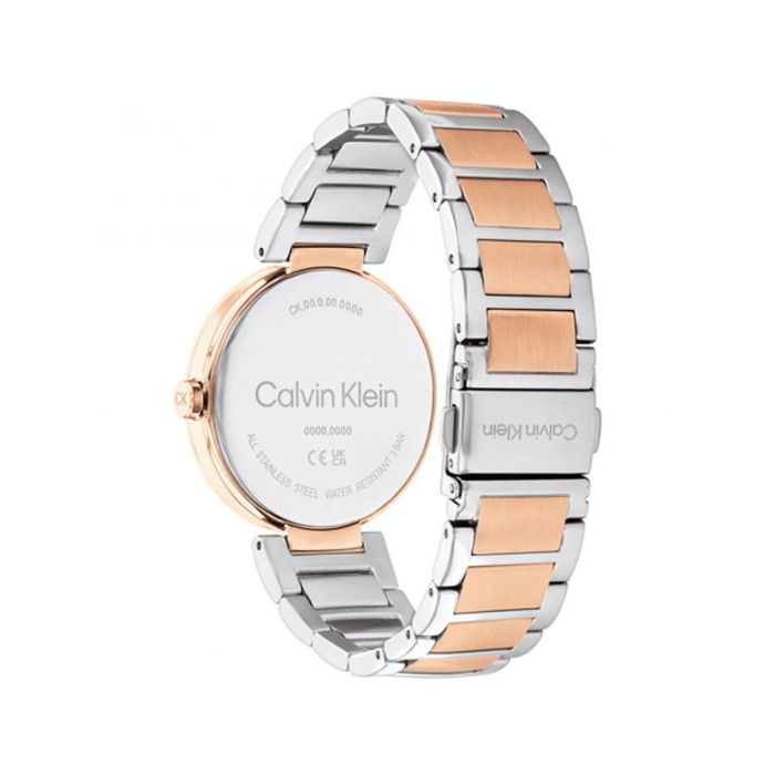 Reloj Mujer Calvin Klein 25200251 3