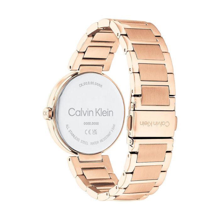 Reloj Mujer Calvin Klein 25200253 3