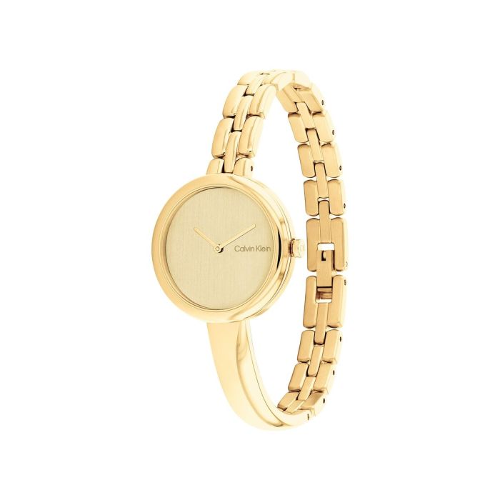 Reloj Hombre Calvin Klein 25200279 Dorado 3