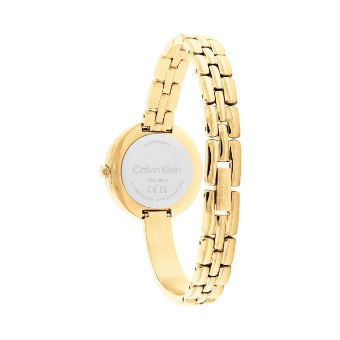 Reloj Hombre Calvin Klein 25200279 Dorado 2