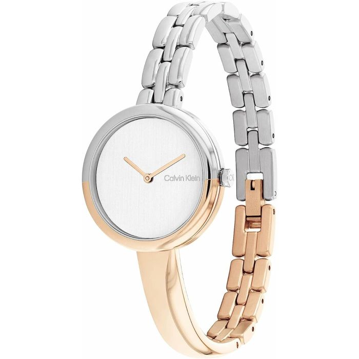 Reloj Mujer Calvin Klein 25200281 3