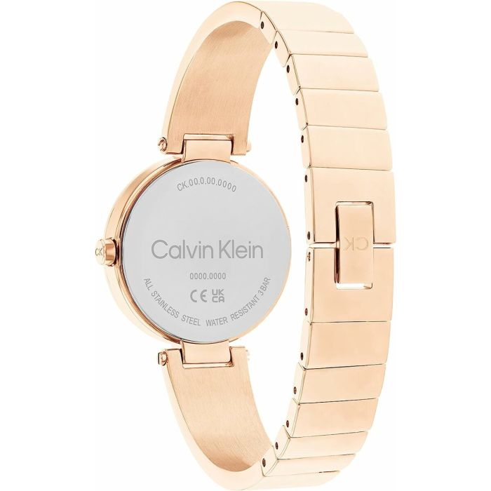 Reloj Mujer Calvin Klein 25200308 1