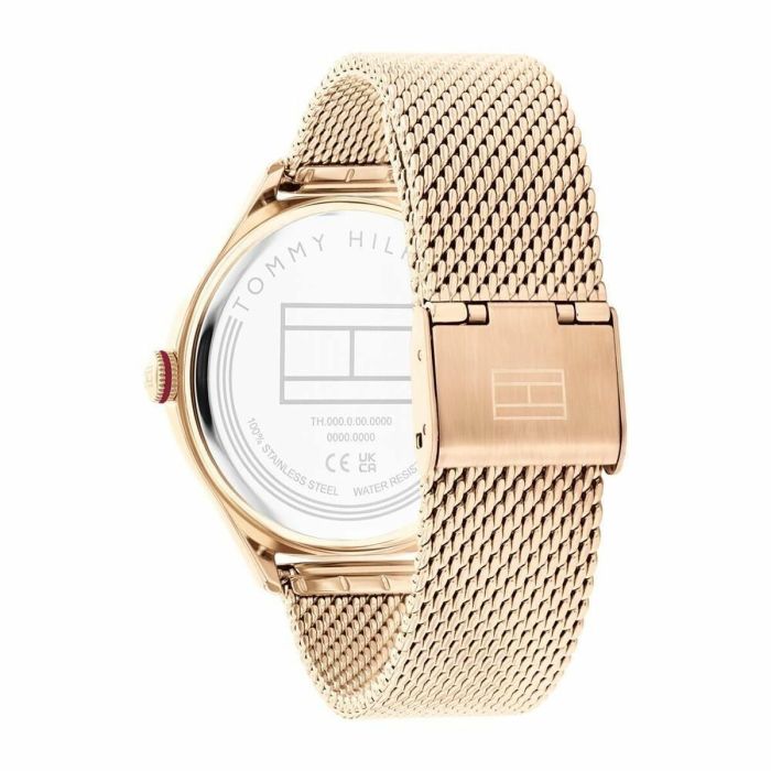 Reloj Mujer Tommy Hilfiger 1782653 (Ø 41 mm) 1