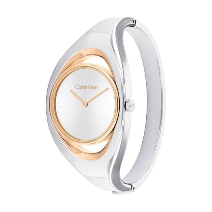 Reloj Mujer Calvin Klein 25200393 3