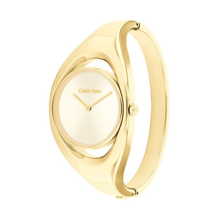 Reloj Mujer Calvin Klein 25200422 3