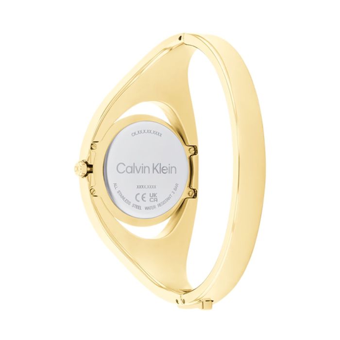 Reloj Mujer Calvin Klein 25200422 2
