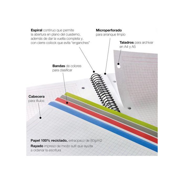 Cuaderno 100% Reciclado Nb-4 A4 120Hojas Tapas Polipropileno Miquelrius 6038 4