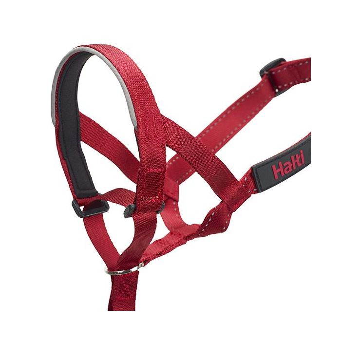 Company Of Animals Bozal Halti Headcollar Rojo Talla 3 para Perro con Banda Acolchada y Control Antitirones 4