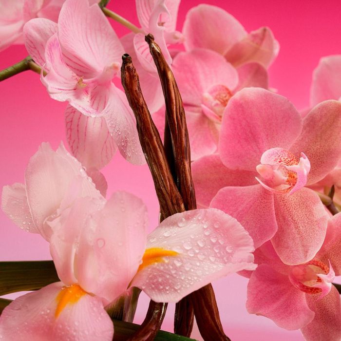 Calvin Klein Euphoria Magnetic Elixir Eau de Parfum Vaporizador 30 ml para Mujer 4 Calvin Klein Euphoria Magnetic Elixir Eau de Parfum Vaporizador 30 ml para Mujer 4