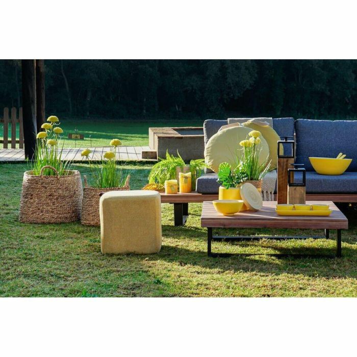 Planta DKD Home Decor Rosa Amarillo 30 x 78 x 30 cm (2 Unidades) 1