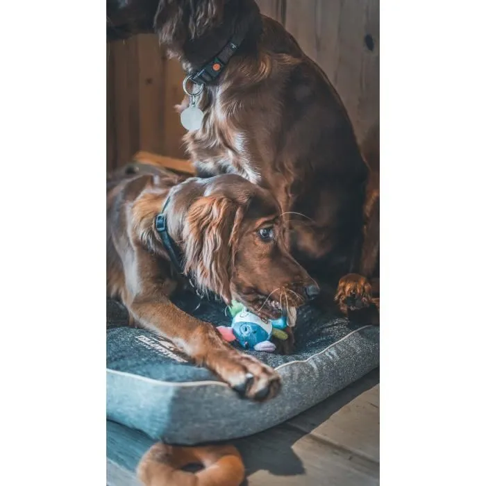 Aime LOVES Mini Peluche Vaca para Perros, Juguete Suave de 16 cm Relleno de Botellas Recicladas 4