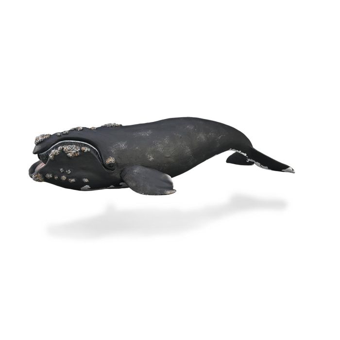 Ballena Derecha -Xl-88740 - Collecta Ballena Derecha -Xl-88740 - Collecta