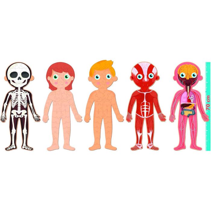 Apli Kids R.19438 Puzle Cuerpo Humano 240 Piezas 2