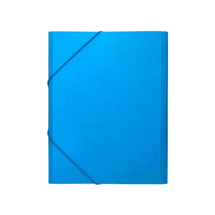 Carpeta Clasificadora Liderpapel 12 Departamentos Folio Prolongado Carton Forrado Celeste 4