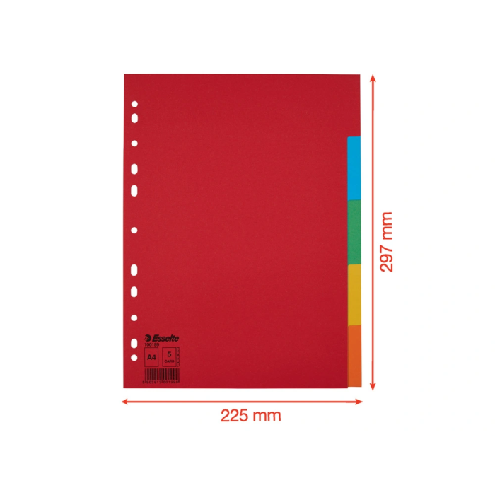 Separadores Esselte Multicolor 5 Hojas A4 (20 Unidades) 5