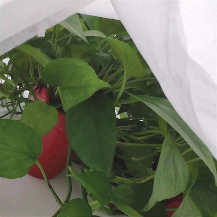 Biotop Tela de Protección para Cultivos 1,5 x 5 m 17gr/m² con Tratamiento UV