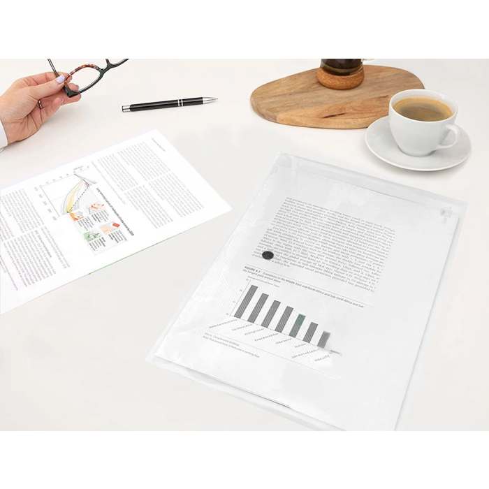 Liderpapel 34044 Carpeta Dossier con Broche, Polipropileno, DIN A4, Incolora, Capacidad 50 Hojas, 180 micras 1