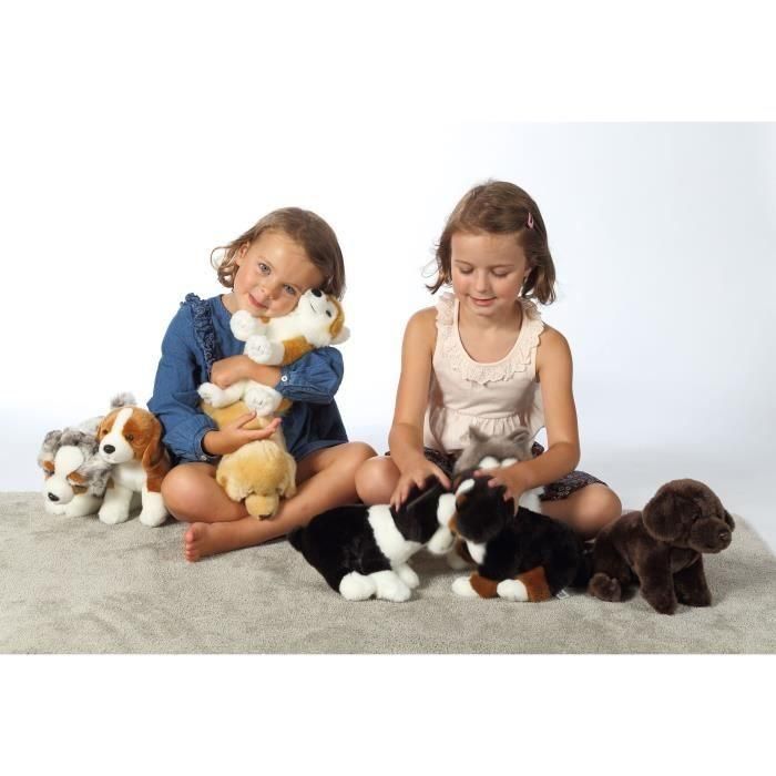 Peluche Perro Husky - GIPSY TOYS - Sentado, 25 cm 3 Peluche Perro Husky - GIPSY TOYS - Sentado, 25 cm 3